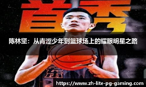 pg模拟器官网下载