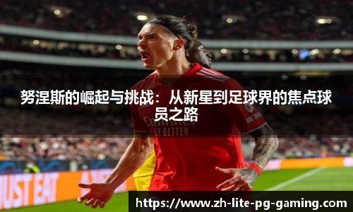 pg模拟器